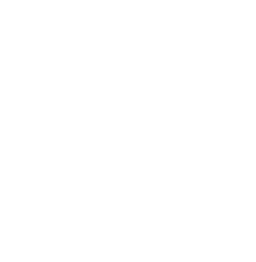 Access Control Security Systems Camera’s Networking Audio/Visual Web Development 